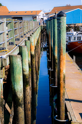 Gloucester, MA - Nov 2022